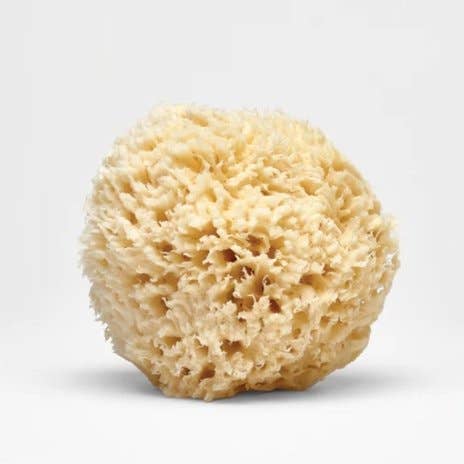 Natural Bath Sea Sponge