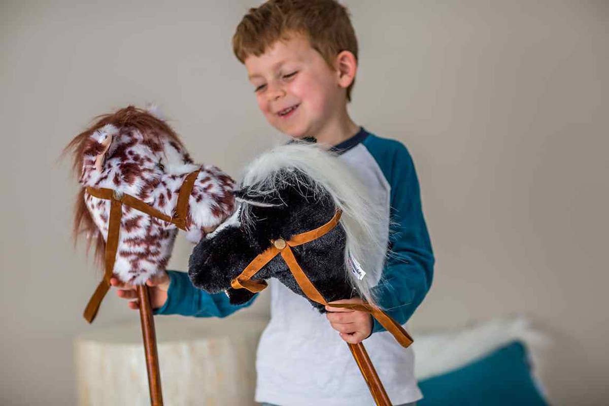 Blackie Stick Horse