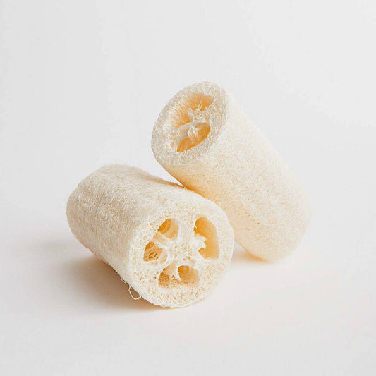 Loofah Sponge