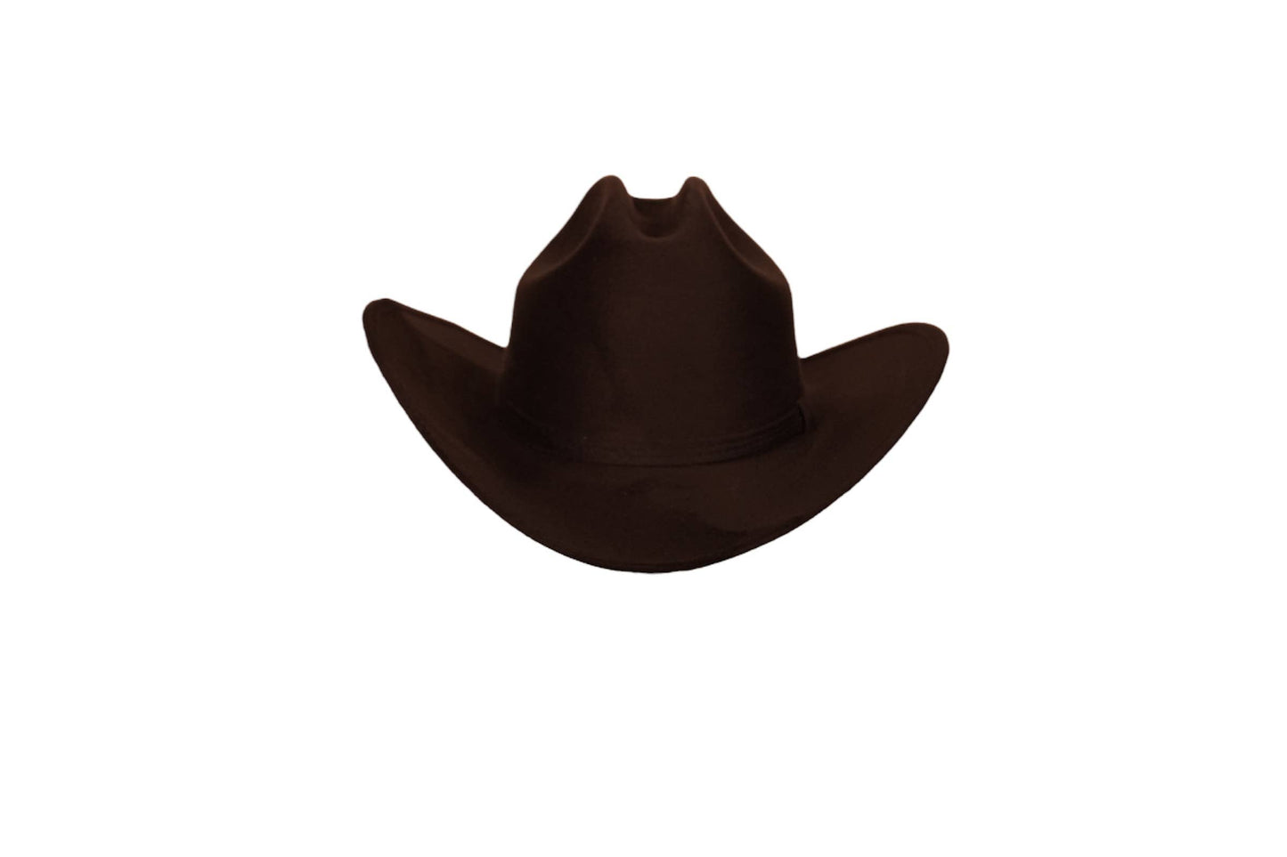 KIDS Yellowstone Western hat