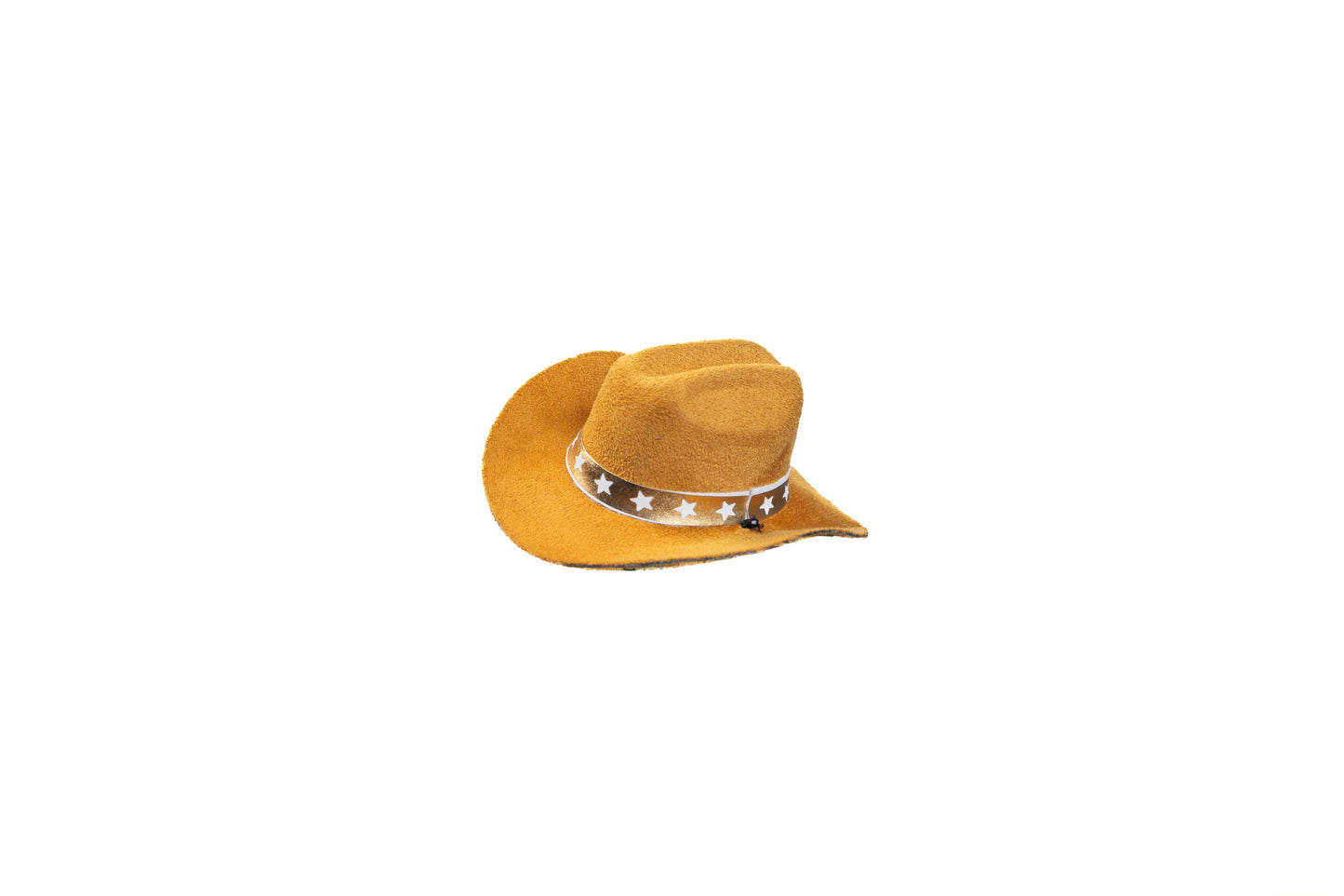 Doggie/Hats 