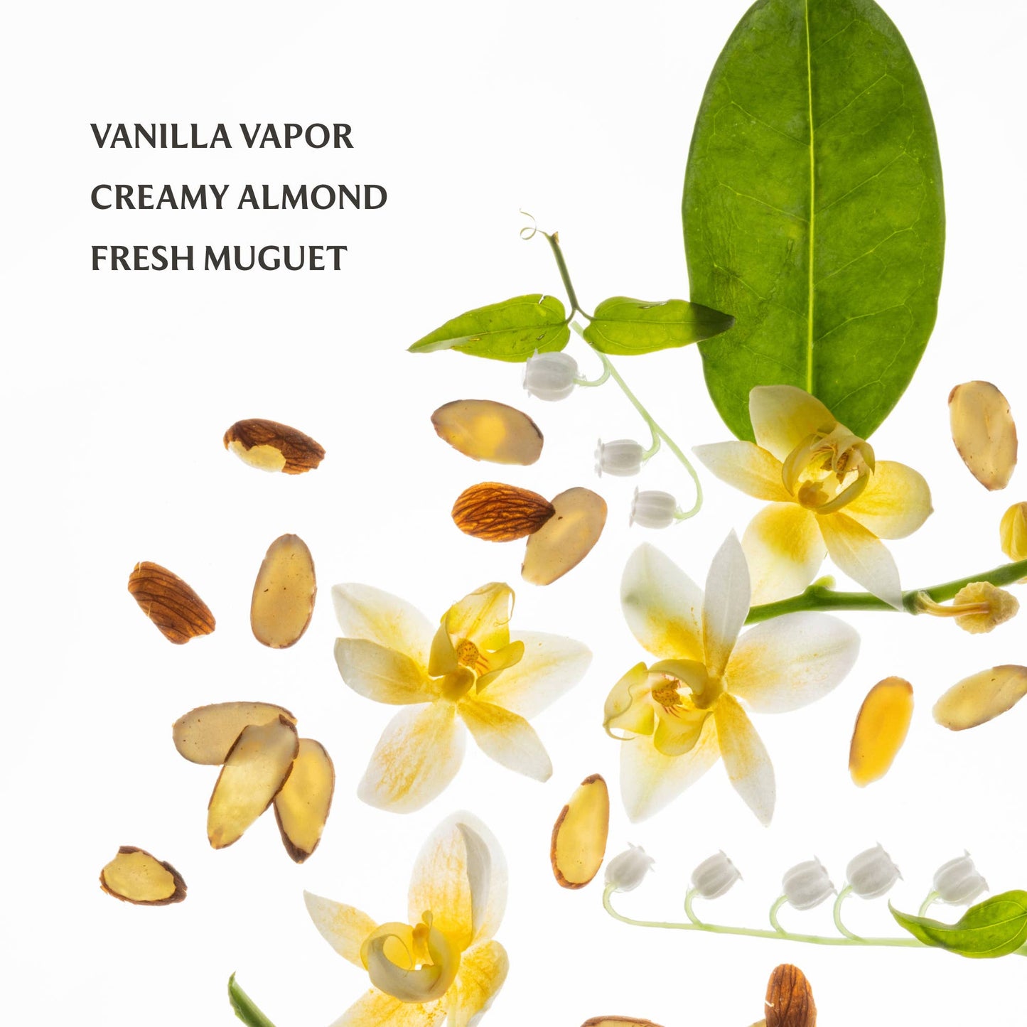 Vanilla Body & Hair Fragrance Mist