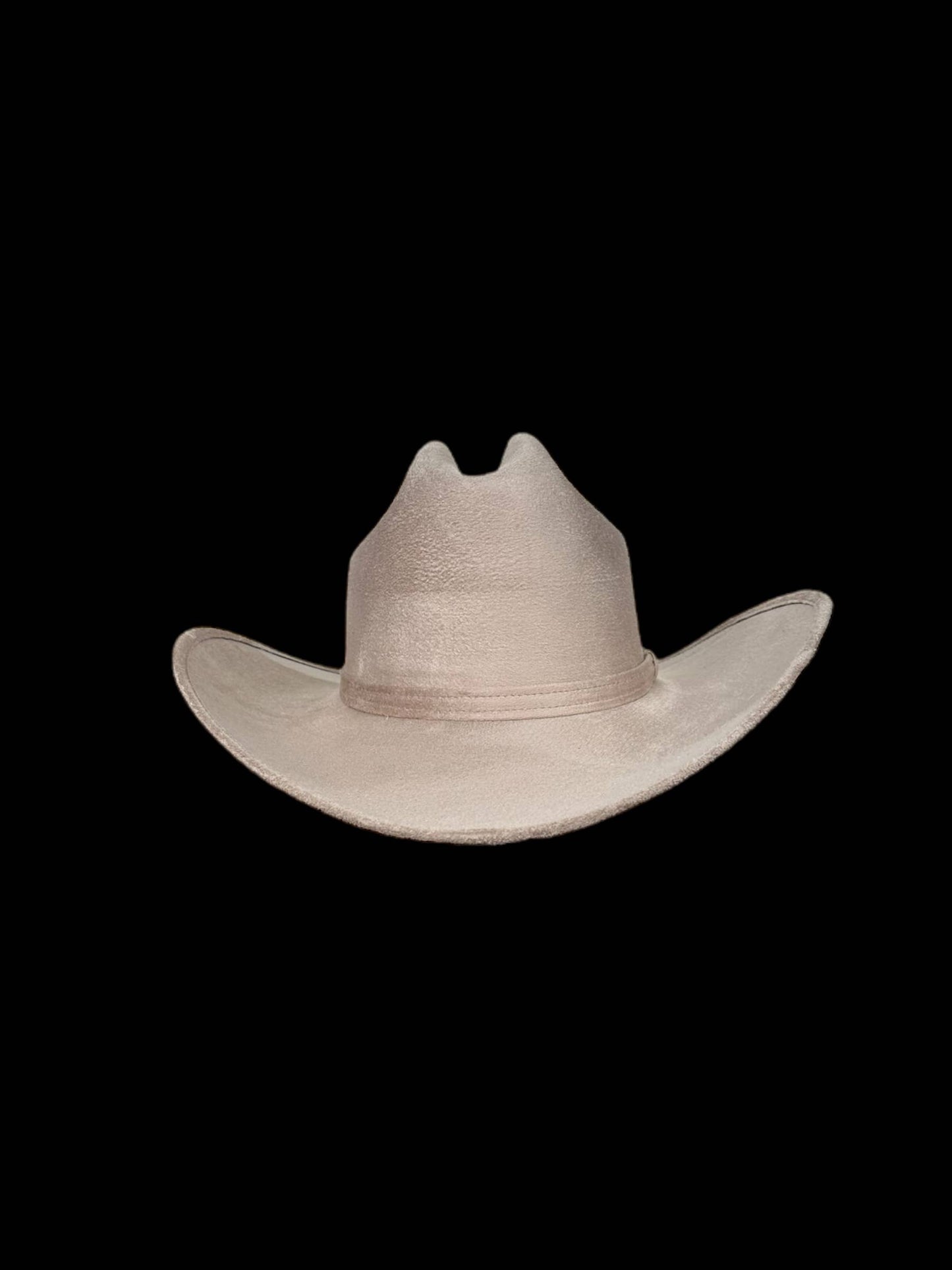 KIDS Yellowstone Western hat