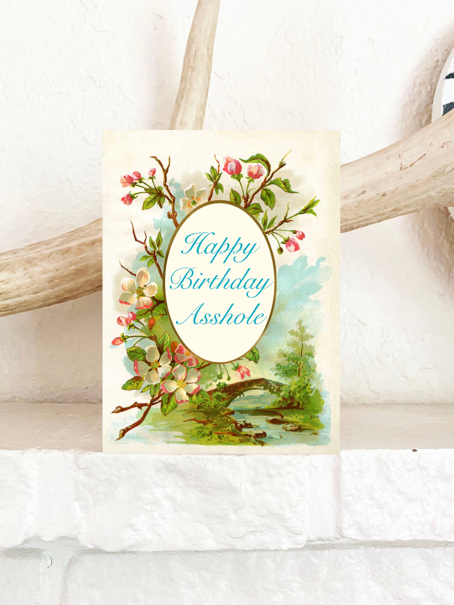 Happy Birthday Asshole Funny Greeting Card